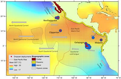 Patterns in Bathyal Demersal Biodiversity and Community Composition Around Archipelagos in the Tropical Eastern Pacific